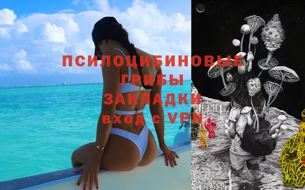 герыч Арсеньев