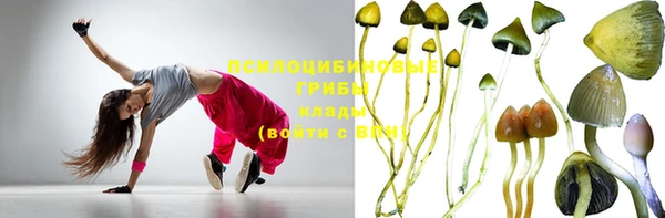 винт Алзамай