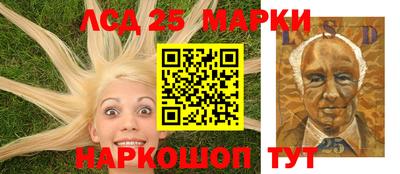 дживик Гай