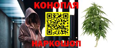 бошки Гагарин