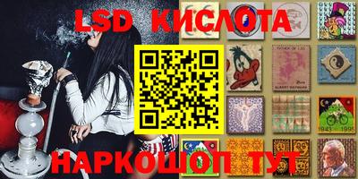 дживик Гай
