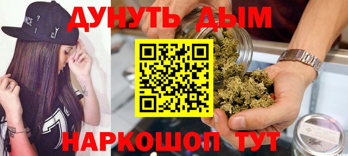 Каннабис сатива Минусинск